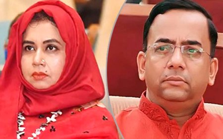 সাবেক আইজিপি বেনজীরের আয়কর নথি জব্দের নির্দেশ