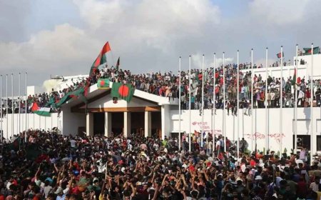 জুলাই গণঅভ্যুত্থানের শহীদের গেজেট প্রকাশ