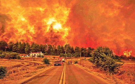 লস অ্যাঞ্জেলসে আগুনের টর্নেডো সৃষ্টির আশঙ্কা, হুমকিতে ৬০ লাখ মানুষ