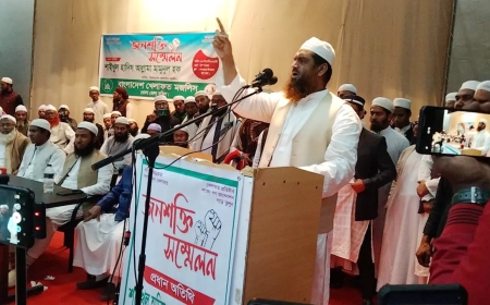 আমাদের লক্ষ্য আল্লাহর জমিনে খেলাফত প্রতিষ্ঠা : মামুনুল হক