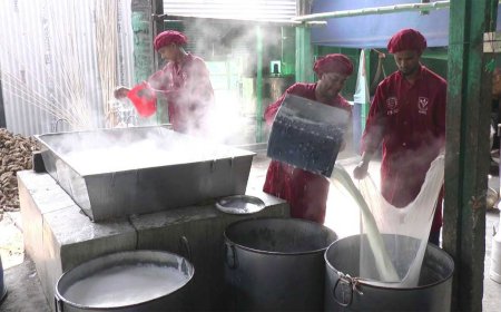 সিরাজগঞ্জে উৎপাদিত দুধকে ঘিরেই স্বপ্ন বুনেছেন উদ্যোক্তারা