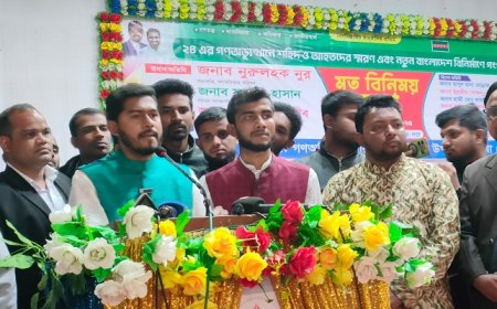 দেশের মানুষ ভারতকে এক ইঞ্চি জমিও দখল করতে দেবে না : নুর