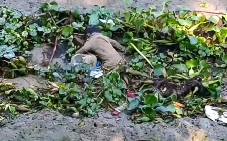 সুগন্ধায় পাওয়া মরদেহ কীর্তনখোলা নদীতে ফেলে দেওয়া সাওদা’র