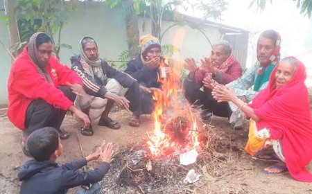 পঞ্চগড়ে তীব্র শীতে জনজীবন বিপর্যস্ত