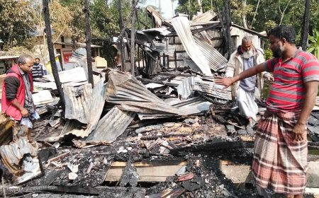 আমতলীতে ১৫ টি ব্যবসা প্রতিষ্ঠান আগুনে পুড়ে ছাই, ৫০ লাখ টাকার ক্ষয়ক্ষতি