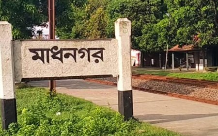 নাটোরে মধ্যরাতে শেখ হাসিনার পক্ষে স্লোগান