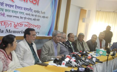 আমরা ন্যূনতম সংস্কার শেষে নির্বাচন চাই : মির্জা ফখরুল