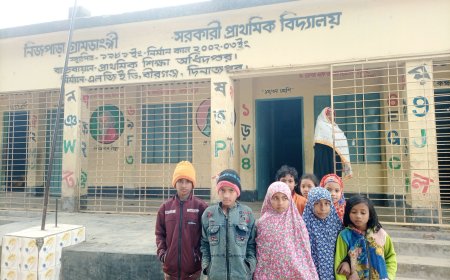 বীরগঞ্জে একজন শিক্ষিকা দিয়ে চলছে স্কুলে পাঠদান