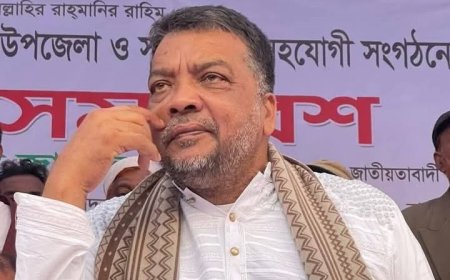 রাজাপুর বিএনপি সম্পাদক নাসিমের পদ স্থগিত