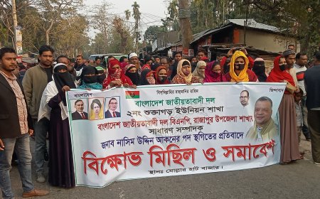 বিএনপি নেতার পদ স্থগিতের প্রতিবাদে ইউনিয়নে ইউনিয়নে বিক্ষোভ