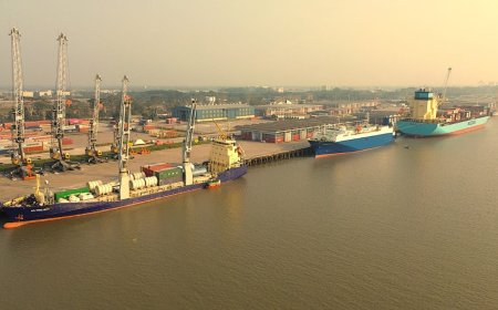 মোংলা বন্দরের জেটিতে এক দিনে ভিড়লো ৩ বিদেশি জাহাজ