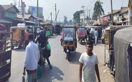 বরগুনার আমতলীতে শ্রমিক ধর্মঘট, অর্ধ লক্ষ মানুষ দুর্ভোগ