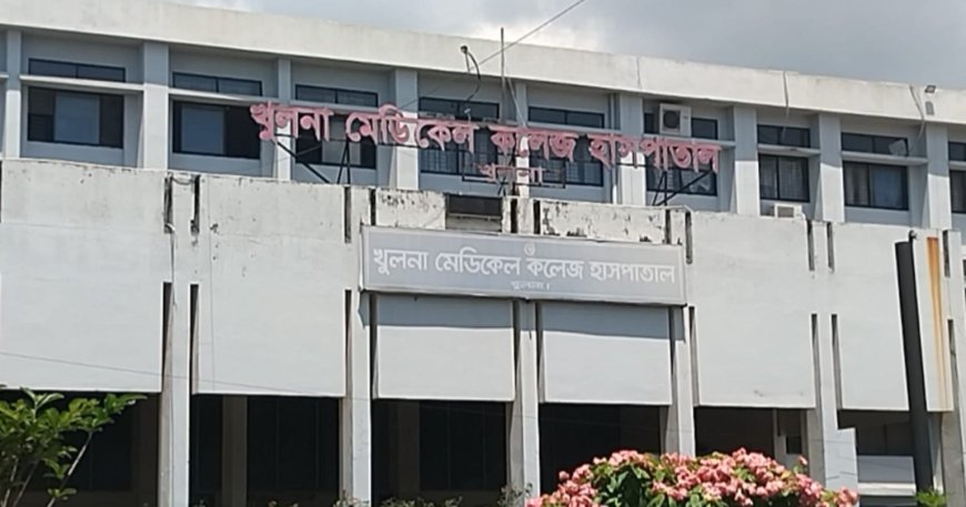 খুলনার বয়রায় সন্ত্রাসী হামলায় দুইজন আহত