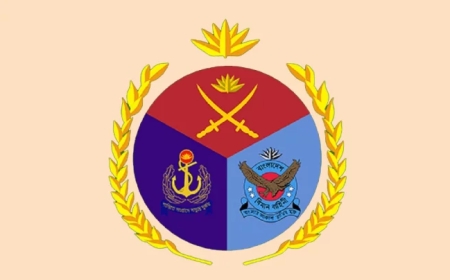 তৌহিদুরের মৃত্যুতে কমান্ডার প্রত্যাহার, উচ্চপদস্থ তদন্ত কমিটি গঠন