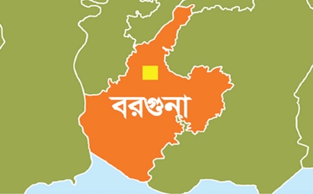 আমতলীতে স্বামীর বাড়ি থেকে নগদ টাকা স্বর্ণালংকার নিয়ে স্ত্রী উধাও