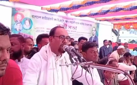 শেখ মুজিবের পরিবার চোরের পরিবার : বিএনপি নেতা জামাল