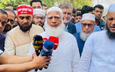 শহীদ পরিবারের চোখের পানিতে হাসিনার পতন হয়েছে : জামায়াত আমির