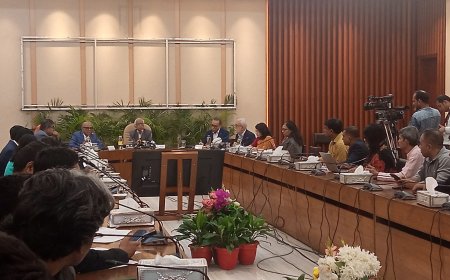 বাংলাদেশ বিমান ভেঙে নতুন এয়ারলাইন্স তৈরির সুপারিশ