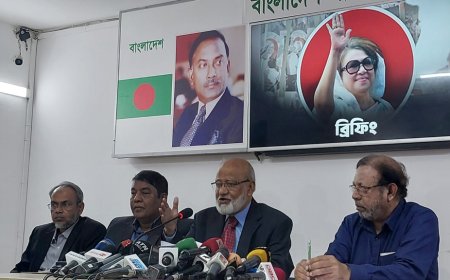 সরকারে এলে বিনা মূল্যে স্বাস্থ্যসেবা দেবে বিএনপি