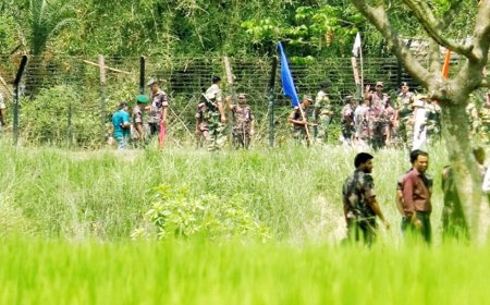 নওগাঁয় সীমান্তে থেকে ব্যবসায়ীকে ধরে নিয়ে গেছে বিএসএফ