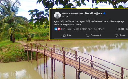 নুহাশ পল্লীকে জাতীয়করণের দাবি পিনাকীর