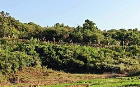 টেকনাফে পাহাড় থেকে ৫ কাঠুরিয়াকে অপহরণ, মুক্তিপণ দাবি