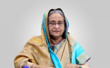 শেখ হাসিনার বিরুদ্ধে ভুয়া ডক্টরেট ডিগ্রি কেনার অভিযোগ
