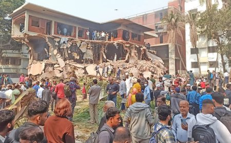 ধানমন্ডি ৩২ নম্বরের বাড়ি দিনভর ভাঙচুর, বিকেলে গরু জবাই করে বিরিয়ানি