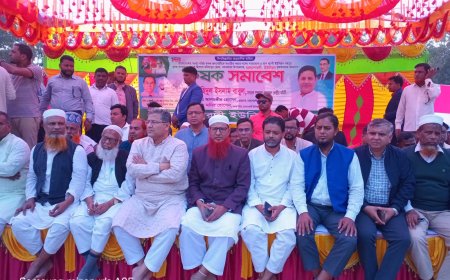 ১৫ বছর শেখ হাসিনার চোখে চোখ রেখে লড়াই করেছি : বিএনপি নেতা বাবুল