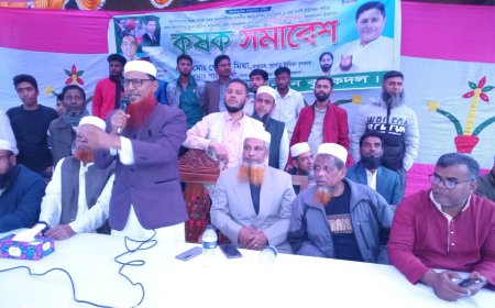 নগরকান্দায় কৃষক দলের সমাবেশ অনুষ্ঠিত