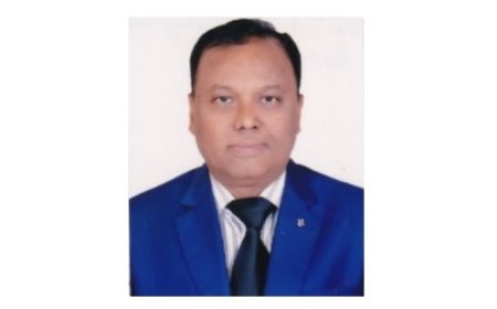 সাবেক ইউএনও’র স্বেচ্ছাচারিতা, দেড় কোটি টাকা ক্ষতিপূরণের দাবি দুই ব্যক্তির