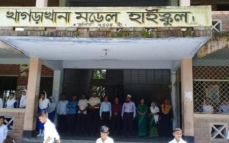 হাইস্কুলে পকেট কমিটির তদন্তের বিরুদ্ধে ডিসির কাছে অভিযোগ