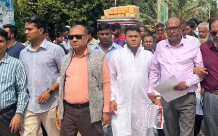 ঝালকাঠিতে বিএনপির লিফলেট বিতরণ ও গনসংযোগ