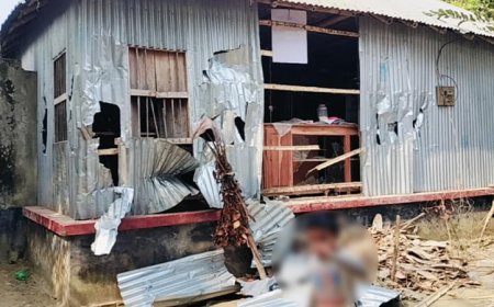 রাজবাড়ীতে আ.লী‌গ সমর্থকদের বাড়িঘরে ভাঙচুর-লুটপাট, এলাকায় আতঙ্ক