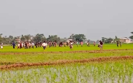 গরুর ধান খাওয়া নিয়ে দুদল গ্রামবাসীর সংঘর্ষ, আহত ৫০
