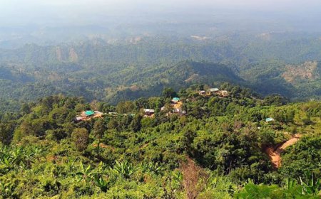 লামায় ২০ রাবার শ্রমিককে অপহরণের অভিযোগ