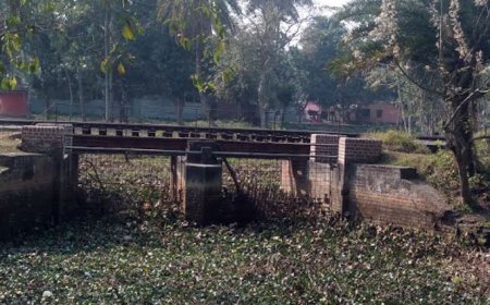 হিলি সীমান্তে রেলওয়ে ব্রিজ সংস্কারে বিএসএফের বাধা