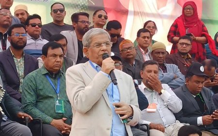 গণতন্ত্রকে প্রাতিষ্ঠানিক রূপ দিতে হলে নির্বাচনই একমাত্র পথ : মির্জা ফখরুল