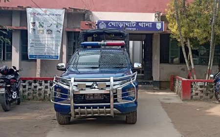 ঘোড়াঘাটে ট্রাকের ধাক্কায় ইজিবাইকের ১ যাত্রী নিহত, আহত ৬