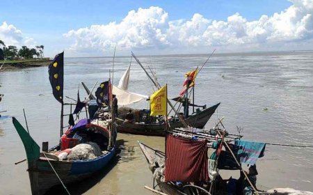 লক্ষ্মীপুরের মেঘনায় দুই মাস মাছ ধরায় নিষেধাজ্ঞা