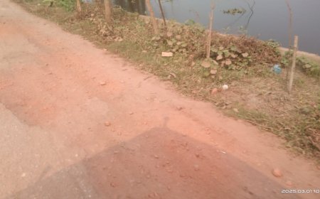 কেন্দুয়ায় দৈর্ঘ্য ভাঙ্গা রাস্তার কারণে যানবাহন চালক এবং যাত্রীদের ভোগান্তি