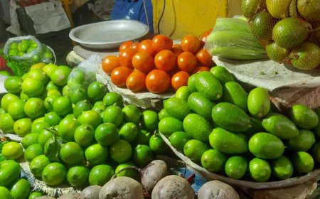 গাইবান্ধায় রমজানে বেড়েছে লেবু, শসা ও বেগুনের দাম