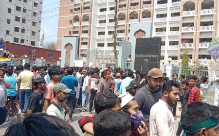 মাগুরায় শিশু ধর্ষণের ঘটনায় চার আসামির ৭ দিনের রিমান্ডের আবেদন