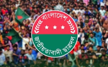 নারী নিপীড়নের প্রতিবাদে সারাদেশে ছাত্রদলের কর্মসূচি ঘোষণা