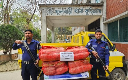 কুড়িগ্রামে ৫৮ কেজি গাঁজাসহ পিকআপ ভ্যান জব্দ