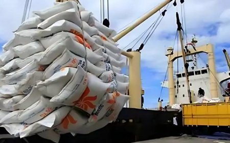 পাকিস্তান থেকে এলো ২৬ হাজার মেট্রিক টন আতপ চাল