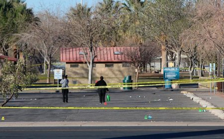 যুক্তরাষ্ট্রে পার্কে দুপক্ষের গোলাগুলিতে নিহত ৩