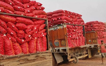 পেঁয়াজ রপ্তানিতে ২০ শতাংশ শুল্ক তুলে নিলো ভারত