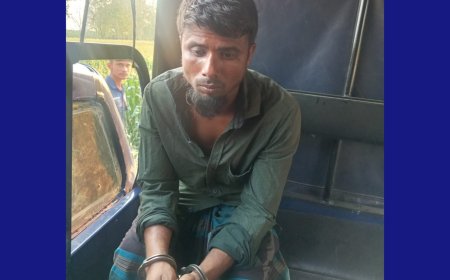 বীরগঞ্জে তিন বছরের শিশুকে ধর্ষণের চেষ্টা, অভিযুক্ত ভ্যানচালক গ্রেপ্তার