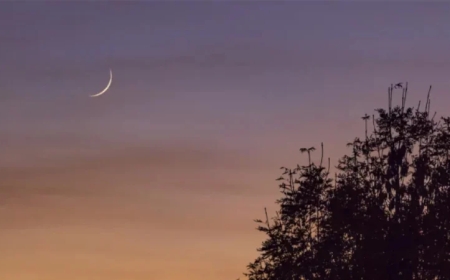 শাওয়াল মাসের চাঁদ দেখা গেছে, কাল ঈদ